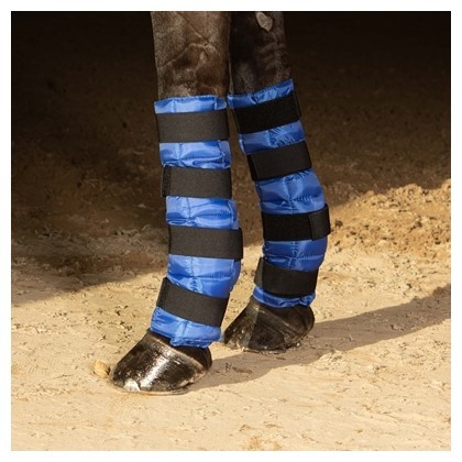 Harry's Horse Cold Wraps - Zwart
