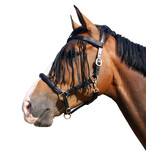 QHP Vliegenfrontriem - Zwart