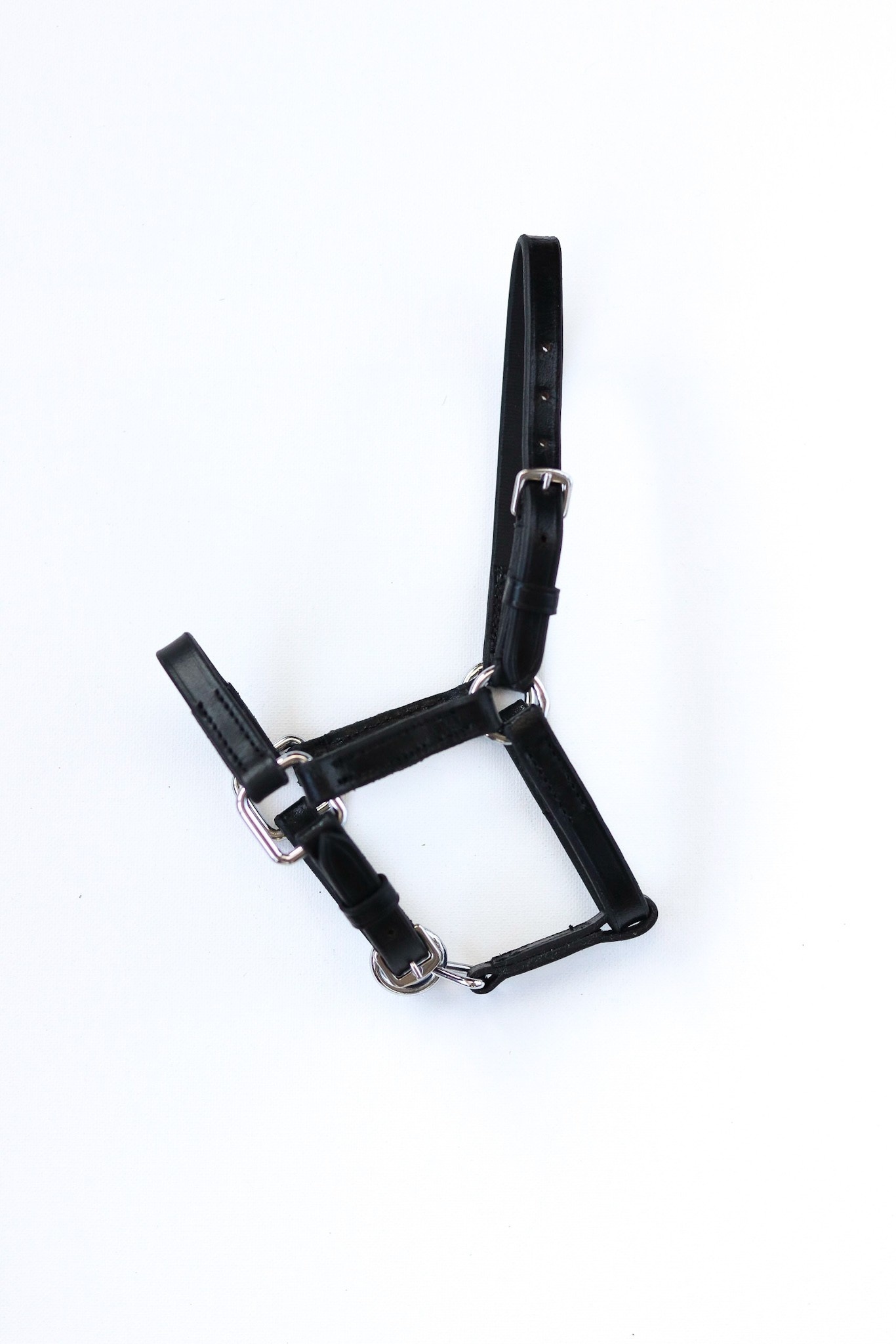 HB Lederen Mini-mini veulenhalster - Zwart