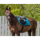 Veelzijdigheidssingel Anatomical - Zwart