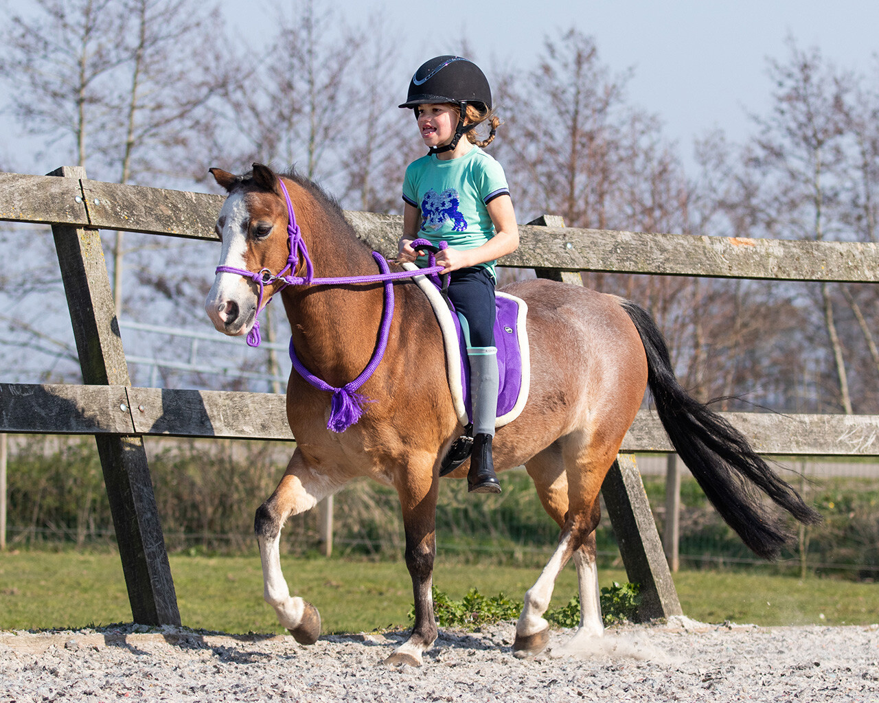 QHP Bareback Pad - Passion Flower