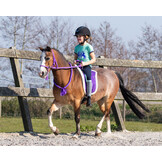 QHP Bareback Pad - Bordeaux