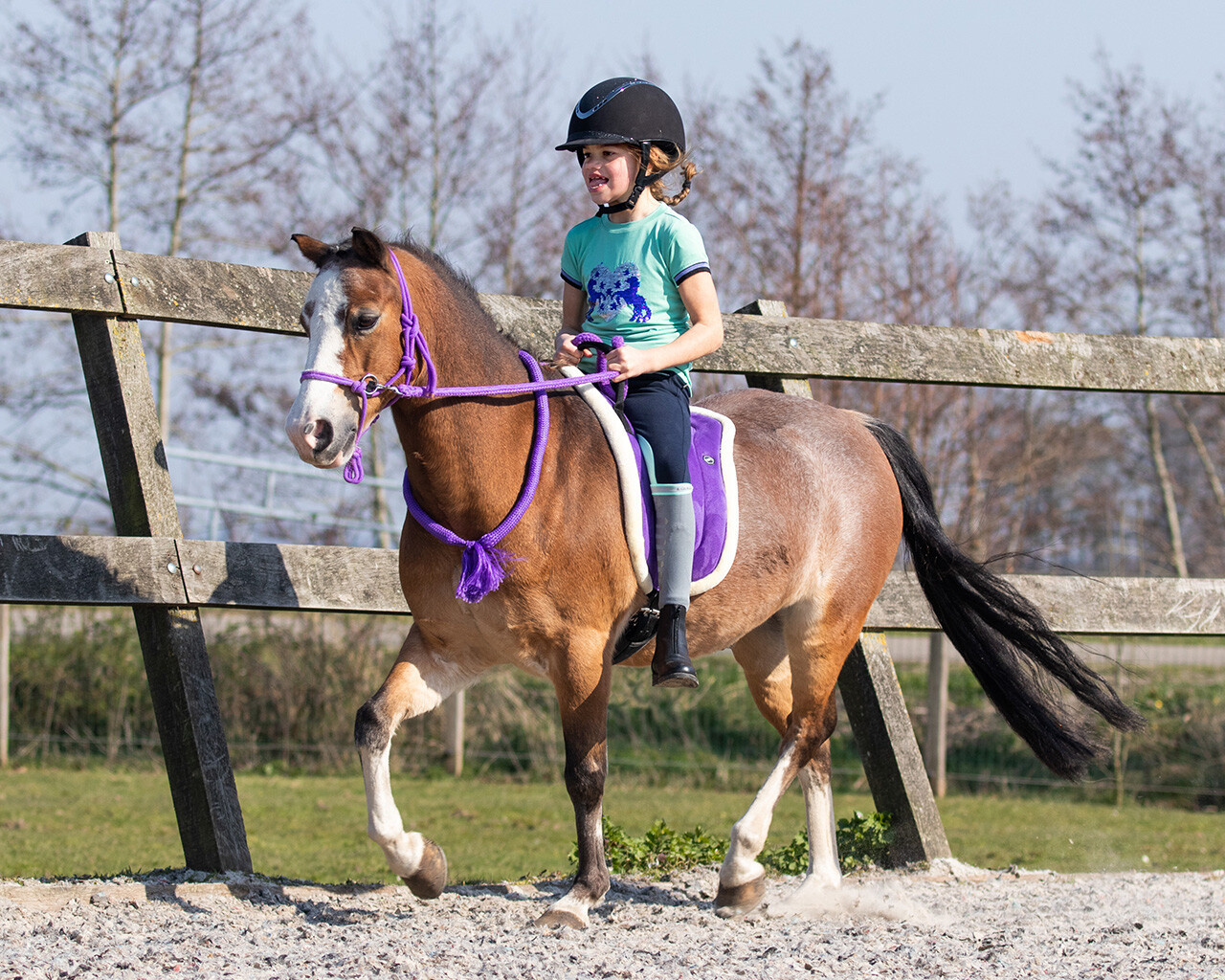 QHP Bareback Pad - Bordeaux