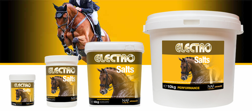 Ontdek NAF Electro Lytes: Maximale Hydratatie voor Jouw Paard