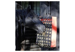 Hooitas Adagio - Oranje