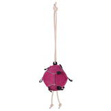 QHP Voer & Speelbal - Roze