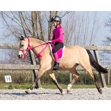 QHP Bareback Pad - Fuchsia