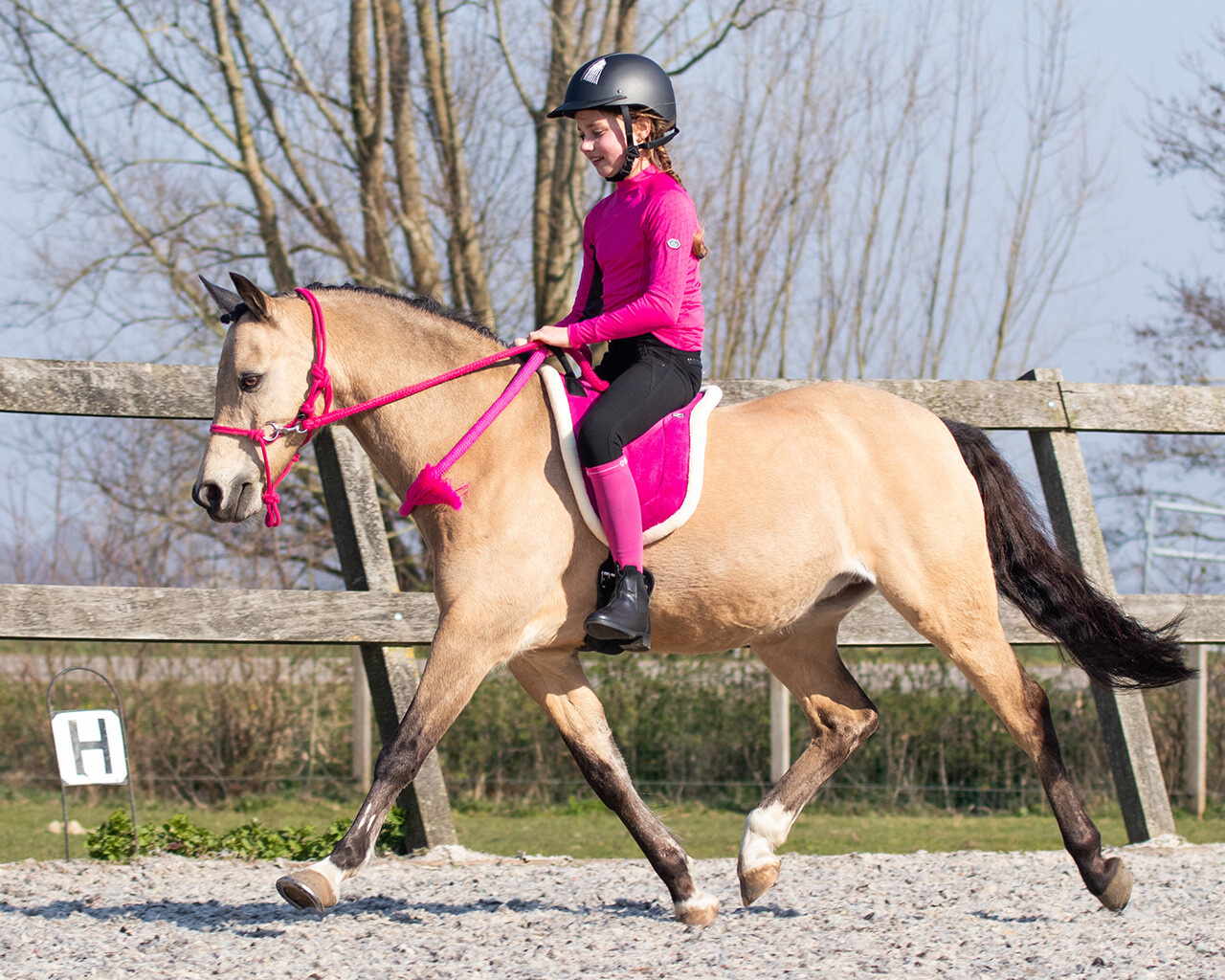 QHP Bareback Pad - Fuchsia