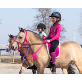 QHP Bareback Pad - Fuchsia