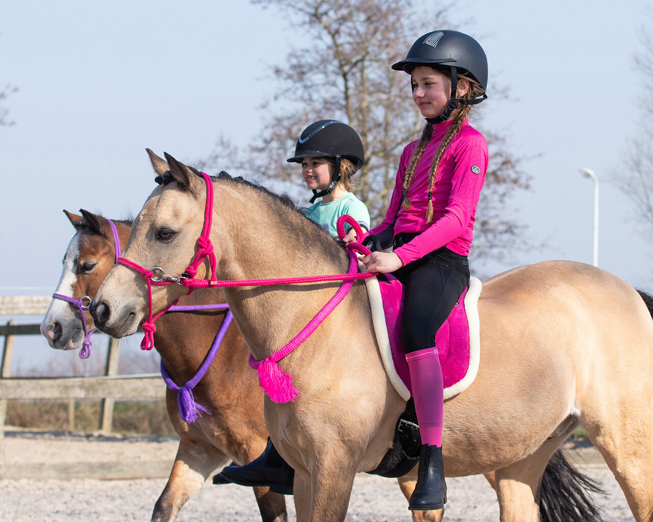 QHP Bareback Pad - Fuchsia