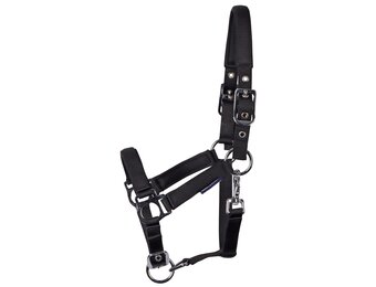 Harry's Horse Veulenhalster Padded - Zwart