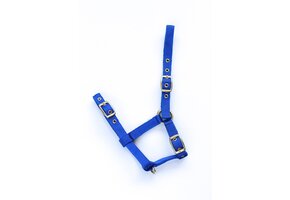 Nylon Veulenhalster - Royal Blue