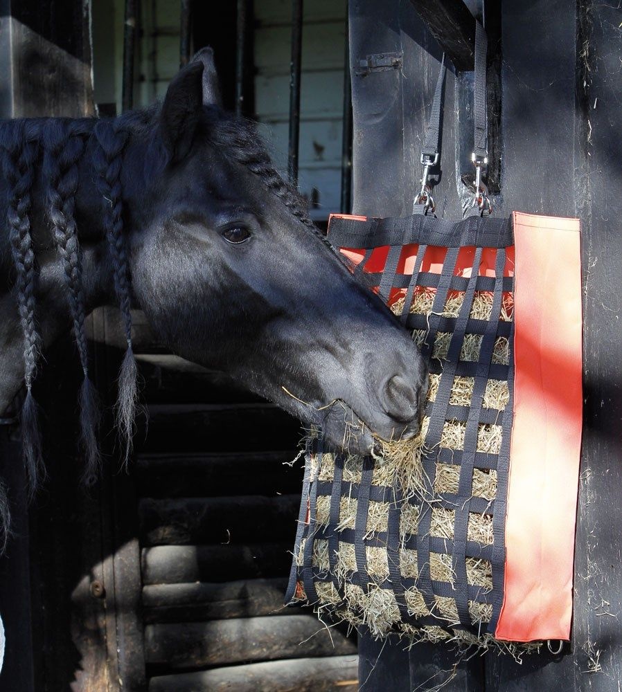 Welke hooitas is het beste?