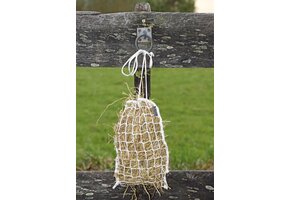 Slow Feeder mini - 33x24 cm