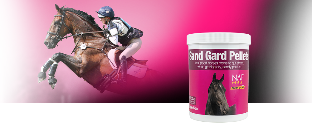 Zand in de darmen van je paard?