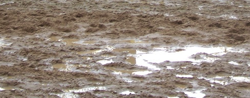 Wateroverlast in je rijbak? 5 tips wat te doen