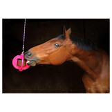 Bizzy Lick  Ball - Roze