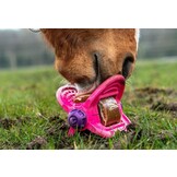 Bizzy Lick  Ball - Roze