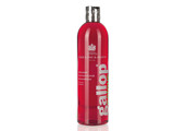 Carr & Day & Martin Shampoo Gallop Colour Bay - 500 ml