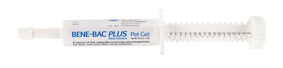 Bene-Bac Plus Pet - Gel tube 15 g (Pro Pack)