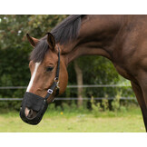 QHP Graasmasker met Neusgaten