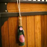 Imperial Riding Stalmaatje Cheers Champagne