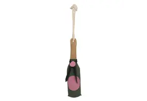 Imperial Riding Stalmaatje Cheers Champagne