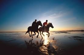 Is paard rijden een sport ?