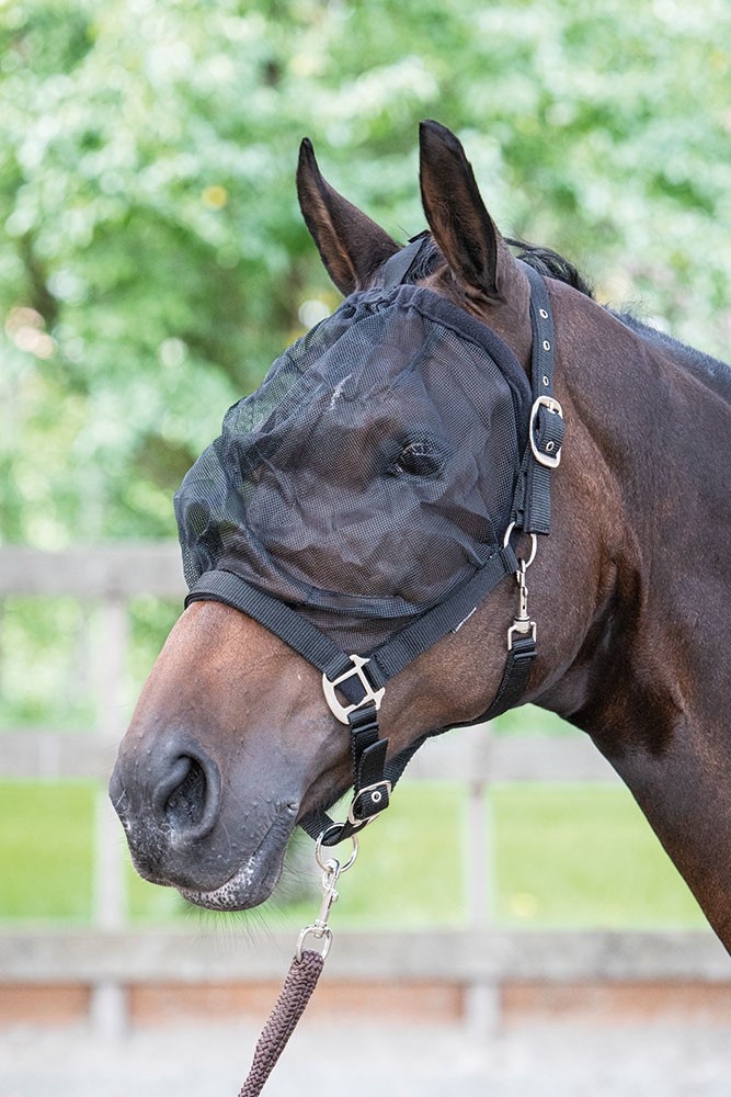 Harry's Horse Vliegenmasker Halster - Zwart