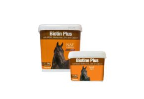 NAF Biotine Plus