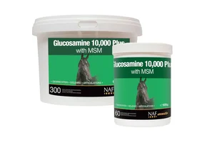 NAF Glucosamine 10.000 Plus met MSM