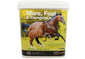 NAF Merries, Veulens en Opgroeiende paarden