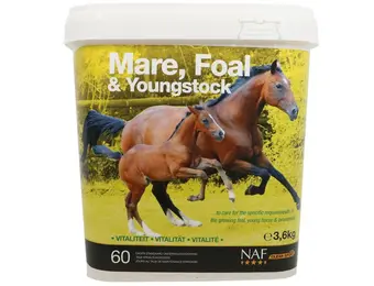 NAF Merries, Veulens en Opgroeiende paarden