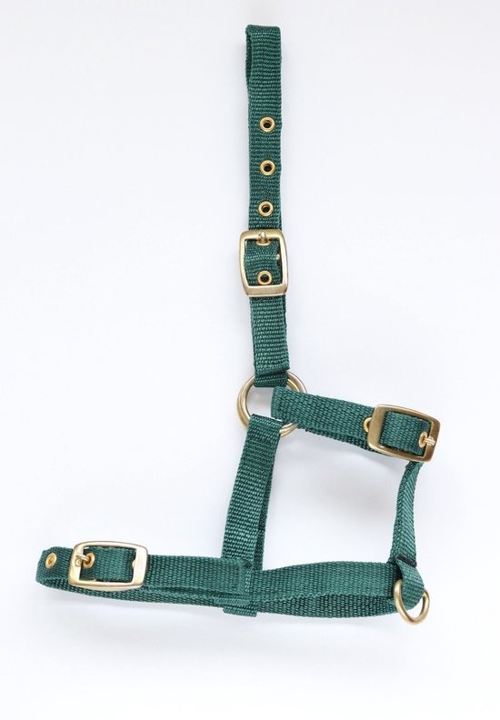 HB Nylon Veulenhalster - Groen