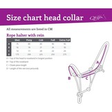 QHP Touwhalster met teugel - Sky