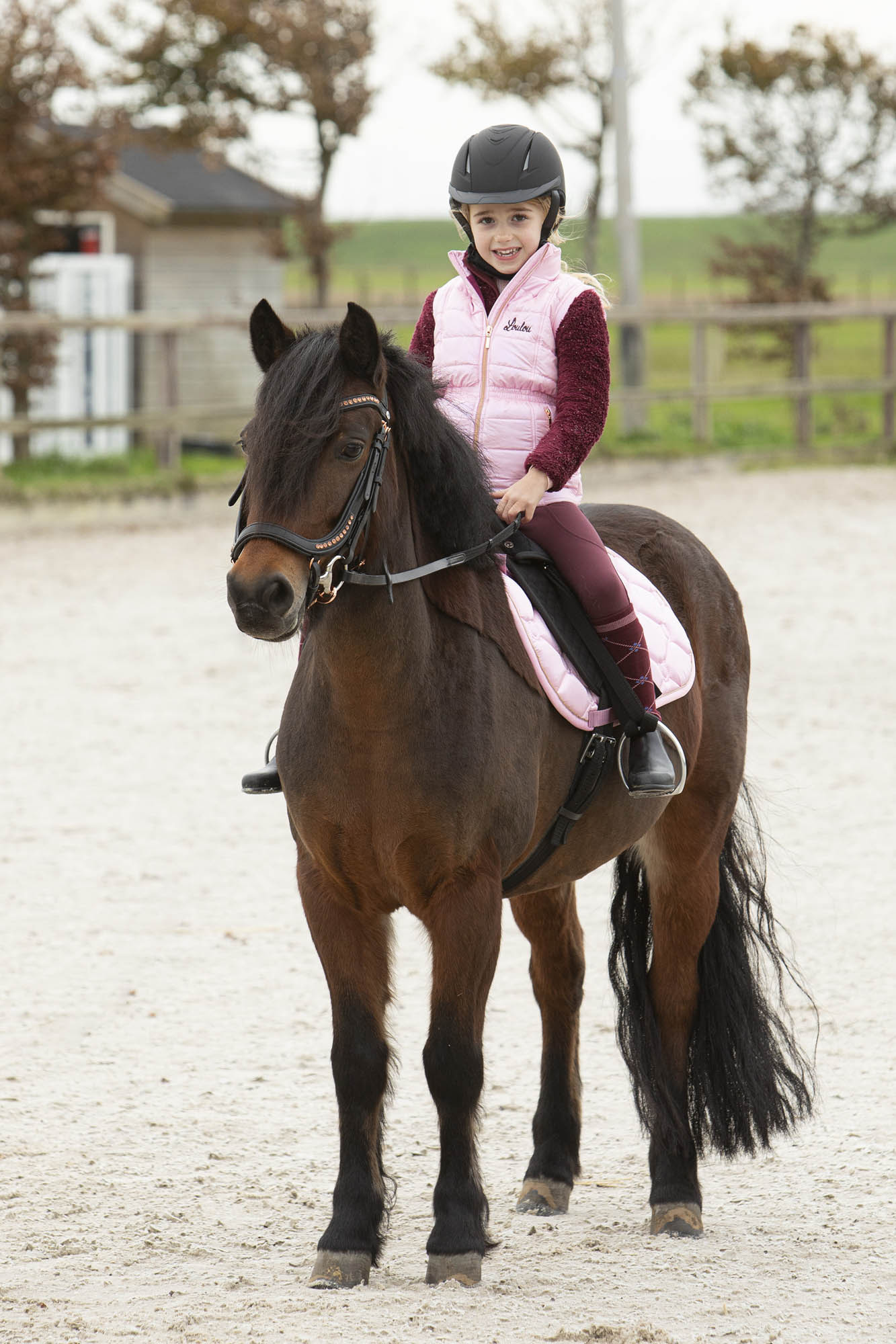 Harry's Horse Rijbroek Equitights Lou-Lou Söll - Maroon-Banner