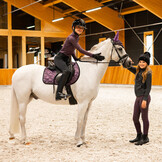 QHP Sweatvest Fayen Junior - Ash - Maat 140