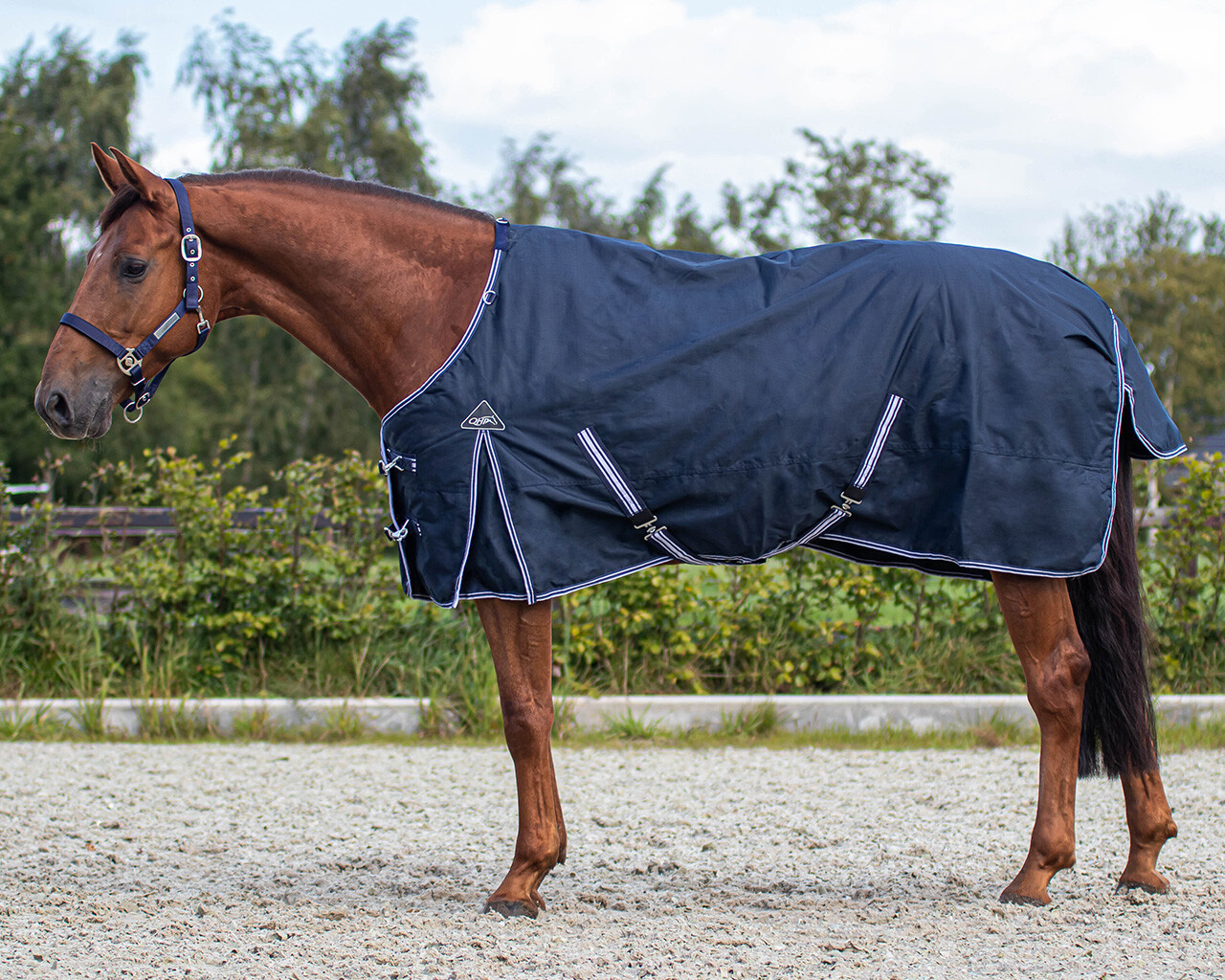 QHP Regendeken Turnout Luxe - 200 gram
