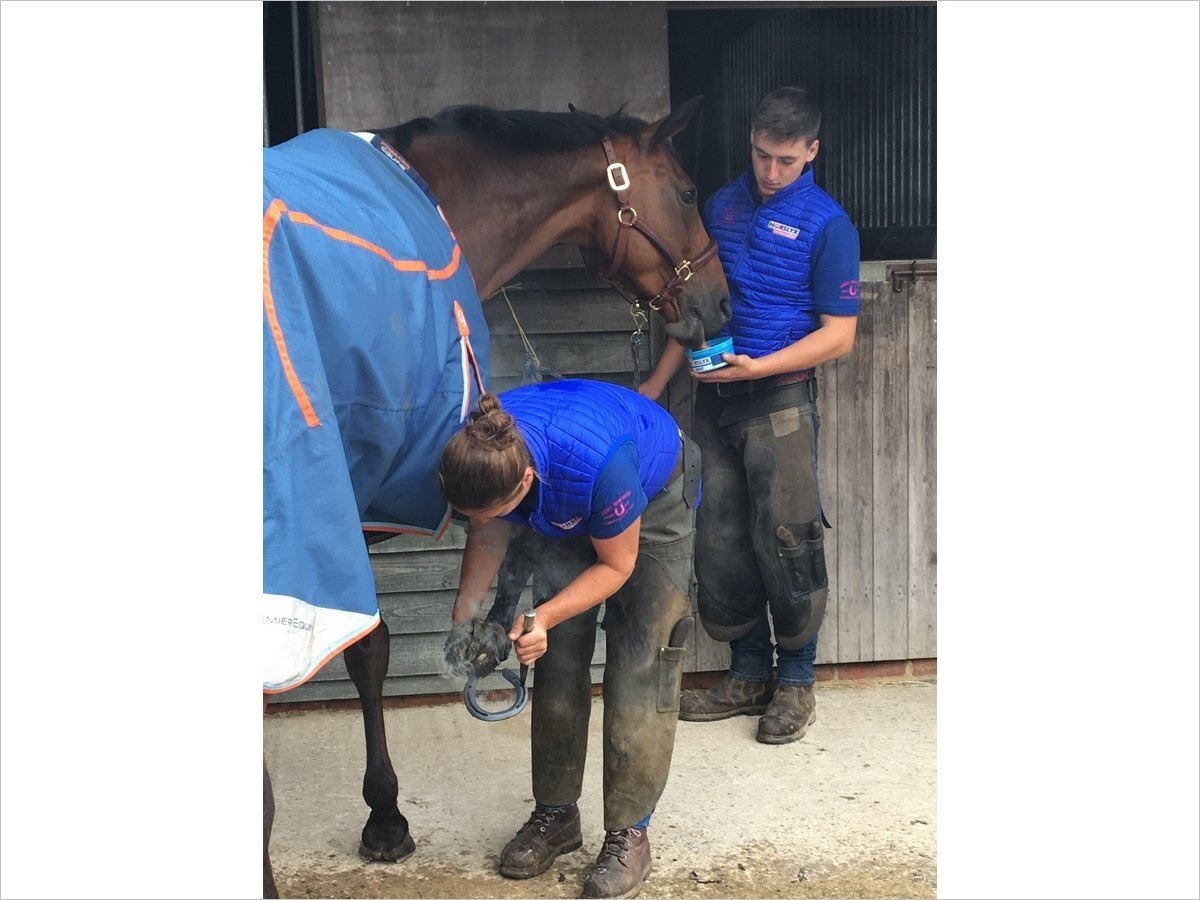 Horslyx Original Mini - 650 gram