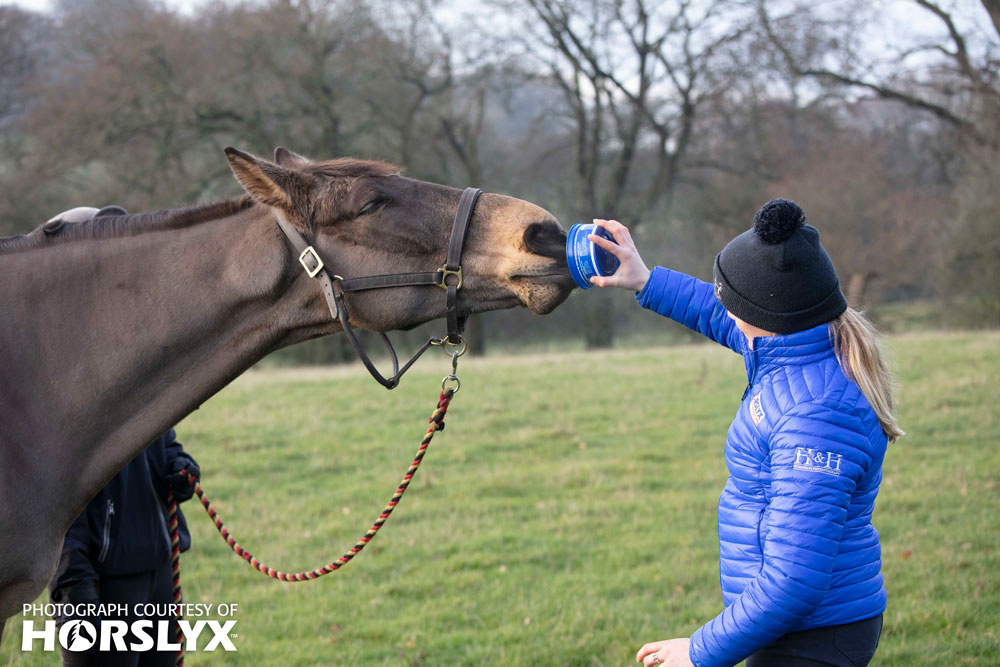 Horslyx Original Mini - 650 gram