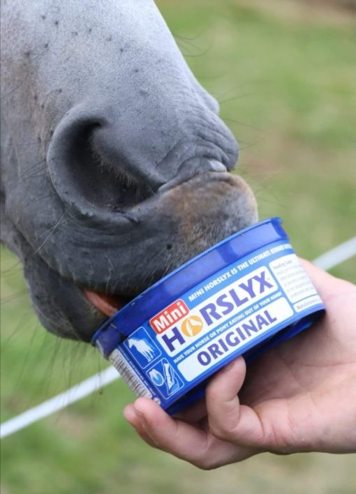 Horslyx Original Mini - 650 gram