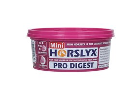 Horslyx Pro Digest Balancer Mini - 650 gram
