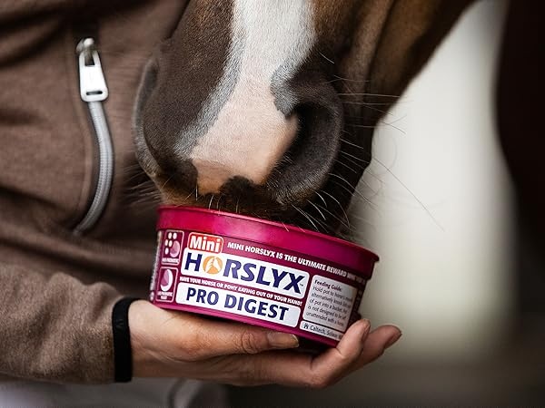 Horslyx Pro Digest Balancer Mini - 650 gram