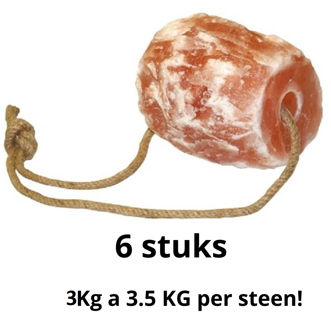 Himalaya Liksteen - 3 a 3.5 kg per stuk - 6 stuks