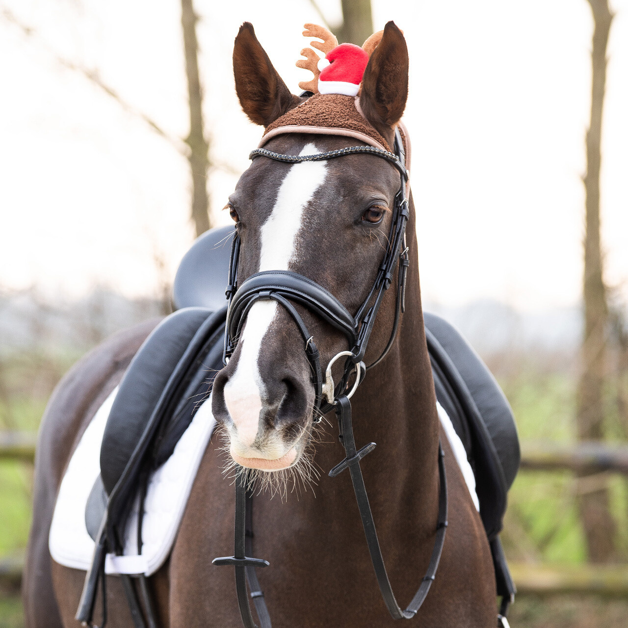 QHP Kerstmuts Paard met gewei - Rood