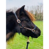 HB Veulenhalster Diamand Rosegold - Zwart