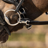 QHP Eén hand teugel - Zwart