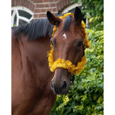 QHP Halster Kerstslinger - Goud