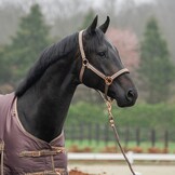 Horka Halsterset Deluxe - Coffee