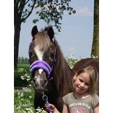 HB Glamour Halster Paars - Full